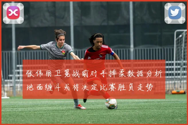 张伟丽卫冕战前对手摔柔数据分析地面缠斗或将决定比赛胜负走势