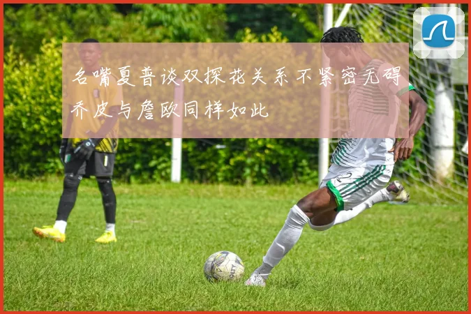 名嘴夏普谈双探花关系不紧密无碍乔皮与詹欧同样如此