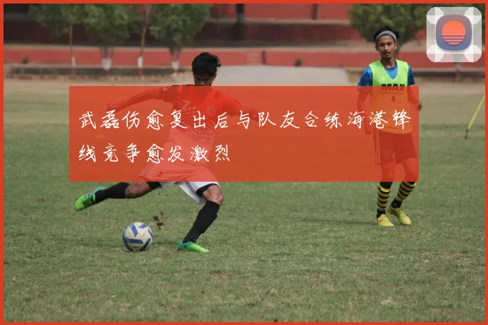 武磊伤愈复出后与队友合练海港锋线竞争愈发激烈